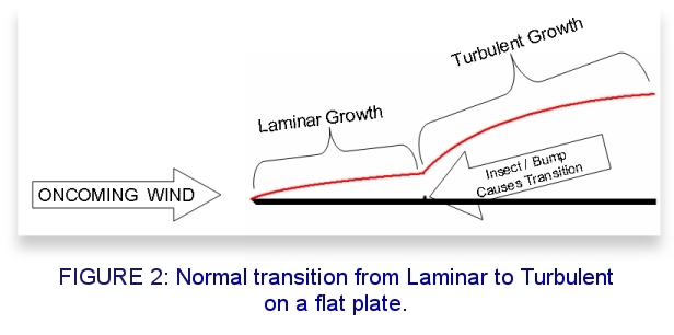 Laminar Flow Wing